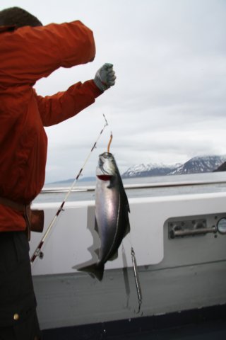 img_3836.jpg